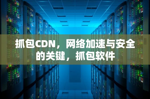 抓包CDN，网络加速与安全的关键，抓包软件