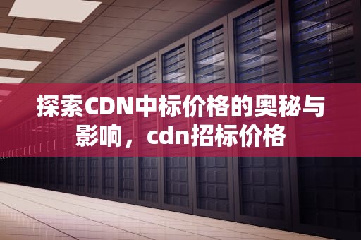探索CDN中标价格的奥秘与影响，cdn招标价格