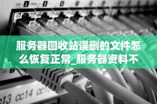 服务器回收站误删的文件怎么恢复正常_服务器资料不小心删除了,怎么找回来呢?_服务器回收站误删文件的恢复方法