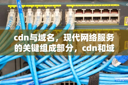 cdn与域名，现代网络服务的关键组成部分，cdn和域名