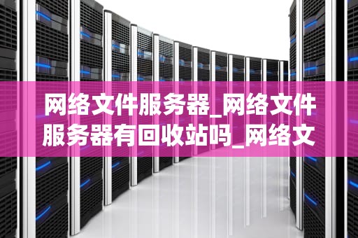 网络文件服务器_网络文件服务器有回收站吗_网络文件服务器的深度解析