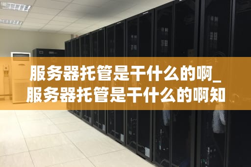 服务器托管是干什么的啊_服务器托管是干什么的啊知乎_服务器托管的全面解析