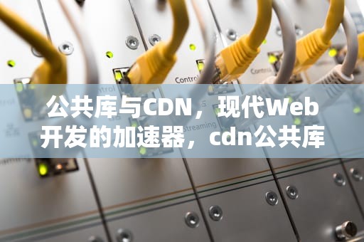 公共库与CDN，现代Web开发的加速器，cdn公共库