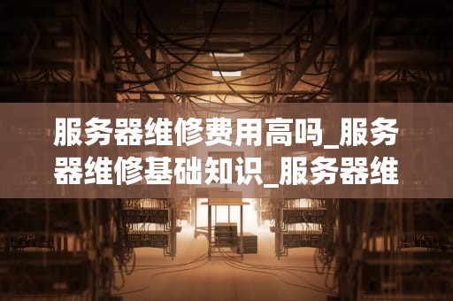 服务器维修费用高吗_服务器维修基础知识_服务器维修费用的考量与分析