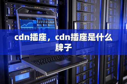 cdn插座，cdn插座是什么牌子