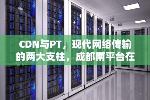 CDN与PT，现代网络传输的两大支柱，成都南平台在哪里