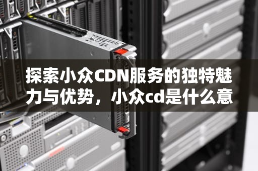 探索小众CDN服务的独特魅力与优势，小众cd是什么意思