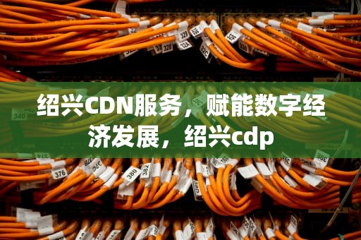 绍兴CDN服务，赋能数字经济发展，绍兴cdp