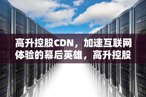 高升控股CDN，加速互联网体验的幕后英雄，高升控股张岱跑路