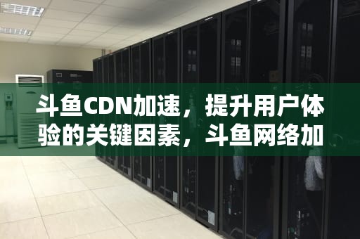 斗鱼CDN加速，提升用户体验的关键因素，斗鱼网络加速