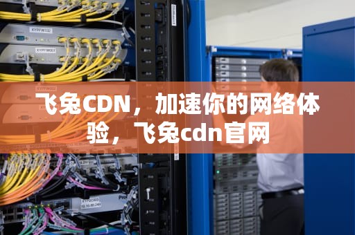 飞兔CDN，加速你的网络体验，飞兔cdn官网
