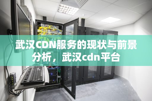 武汉CDN服务的现状与前景分析，武汉cdn平台