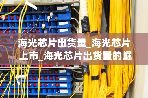 海光芯片出货量_海光芯片 上市_海光芯片出货量的崛起与挑战