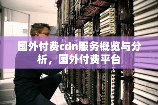 国外付费cdn服务概览与分析，国外付费平台