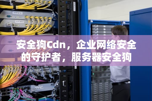 安全狗Cdn，企业网络安全的守护者，服务器安全狗