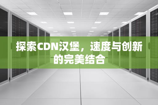 探索CDN汉堡，速度与创新的完美结合