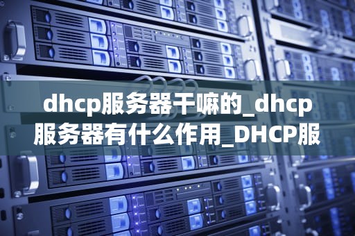 dhcp服务器干嘛的_dhcp服务器有什么作用_DHCP服务器的功能与应用