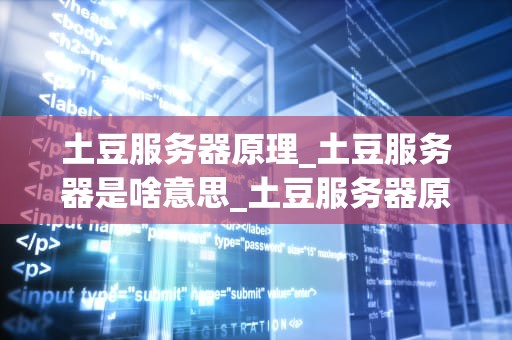 土豆服务器原理_土豆服务器是啥意思_土豆服务器原理及其应用