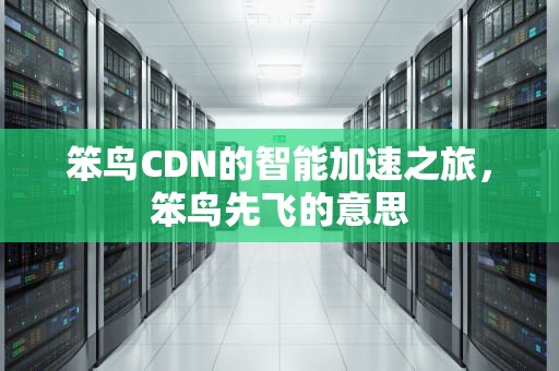笨鸟CDN的智能加速之旅，笨鸟先飞的意思