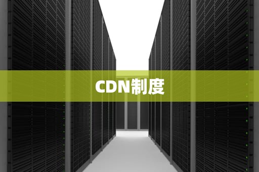 CDN制度