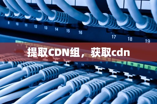 提取CDN组，获取cdn