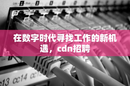 在数字时代寻找工作的新机遇，cdn招聘