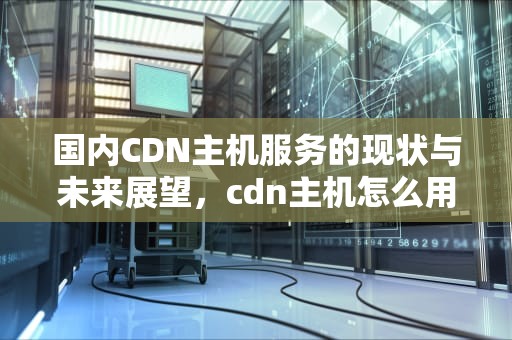 国内CDN主机服务的现状与未来展望，cdn主机怎么用