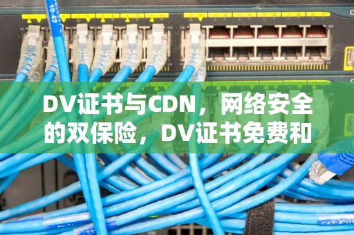 DV证书与CDN，网络安全的双保险，DV证书免费和付费的区别