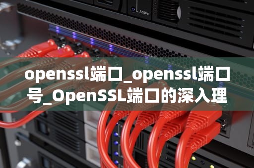 openssl端口_openssl端口号_OpenSSL端口的深入理解与应用