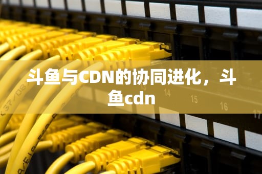 斗鱼与CDN的协同进化，斗鱼cdn