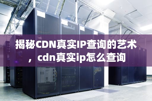揭秘CDN真实IP查询的艺术，cdn真实ip怎么查询