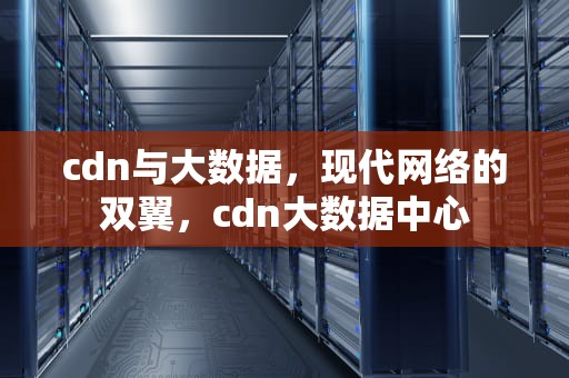 cdn与大数据，现代网络的双翼，cdn大数据中心