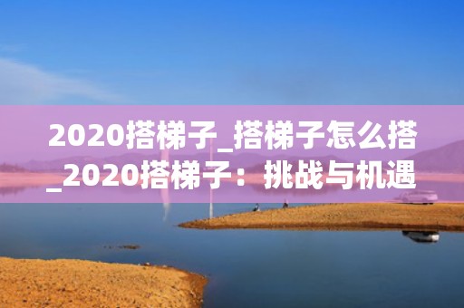 2020搭梯子_搭梯子怎么搭_2020搭梯子：挑战与机遇并存的一年