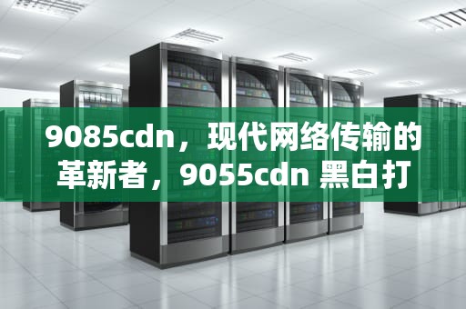 9085cdn，现代网络传输的革新者，9055cdn 黑白打印