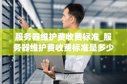 服务器维护费收费标准_服务器维护费收费标准是多少_服务器维护费收费标准的全面解析