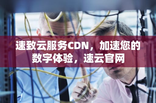 速致云服务CDN，加速您的数字体验，速云官网
