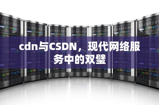 cdn与CSDN，现代网络服务中的双璧