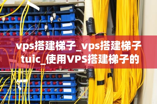 vps搭建梯子_vps搭建梯子 tuic_使用VPS搭建梯子的全面指南