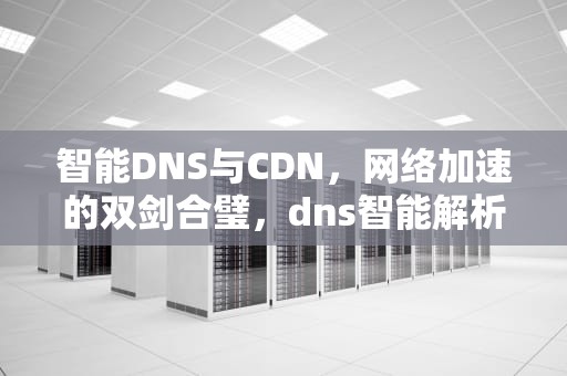 智能DNS与CDN，网络加速的双剑合璧，dns智能解析与cdn