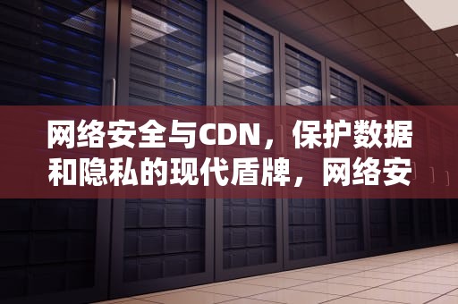 网络安全与CDN，保护数据和隐私的现代盾牌，网络安全 cdn 算什么罪