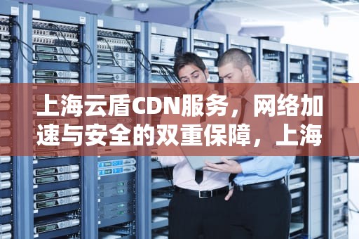 上海云盾CDN服务，网络加速与安全的双重保障，上海云盾cdn免费吗