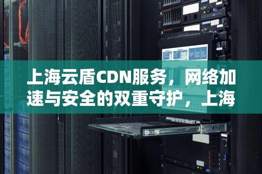 上海云盾CDN服务，网络加速与安全的双重守护，上海云盾cdn免费吗
