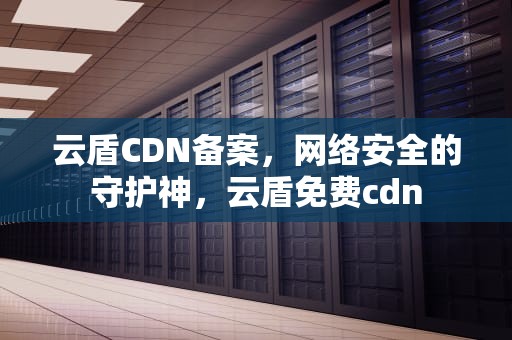 云盾CDN备案，网络安全的守护神，云盾免费cdn