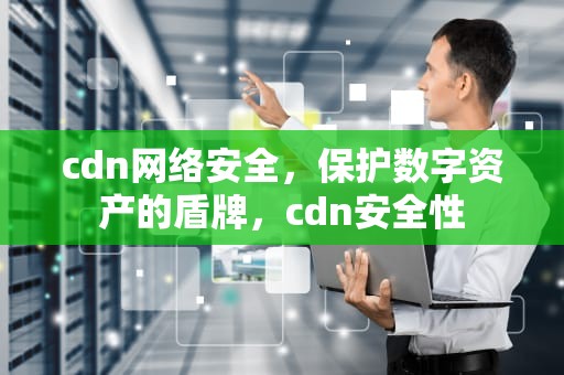 cdn网络安全，保护数字资产的盾牌，cdn安全性
