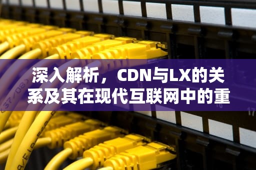 深入解析，CDN与LX的关系及其在现代互联网中的重要性，cdn是什么意思