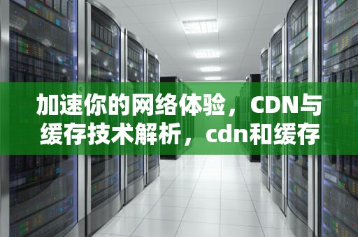 加速你的网络体验，CDN与缓存技术解析，cdn和缓存