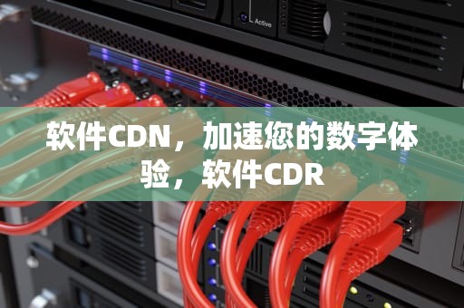 软件CDN，加速您的数字体验，软件CDR