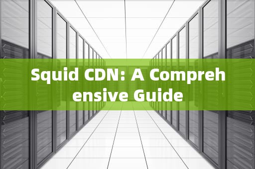 Squid CDN: A Comprehensive Guide