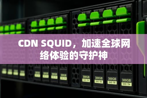 CDN SQUID，加速全球网络体验的守护神
