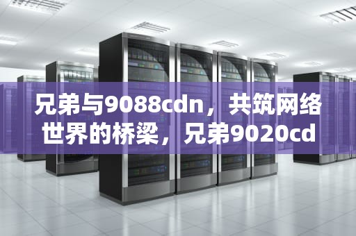 兄弟与9088cdn，共筑网络世界的桥梁，兄弟9020cdn废粉仓清零